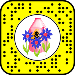 snapchat snapcode earth day augmented reality effect
