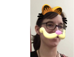 Garfield augmented reality effect