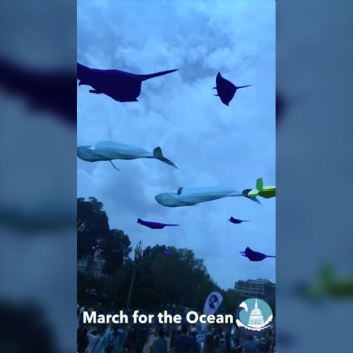 March for the Ocean Snapchat Augmented Reality Lens