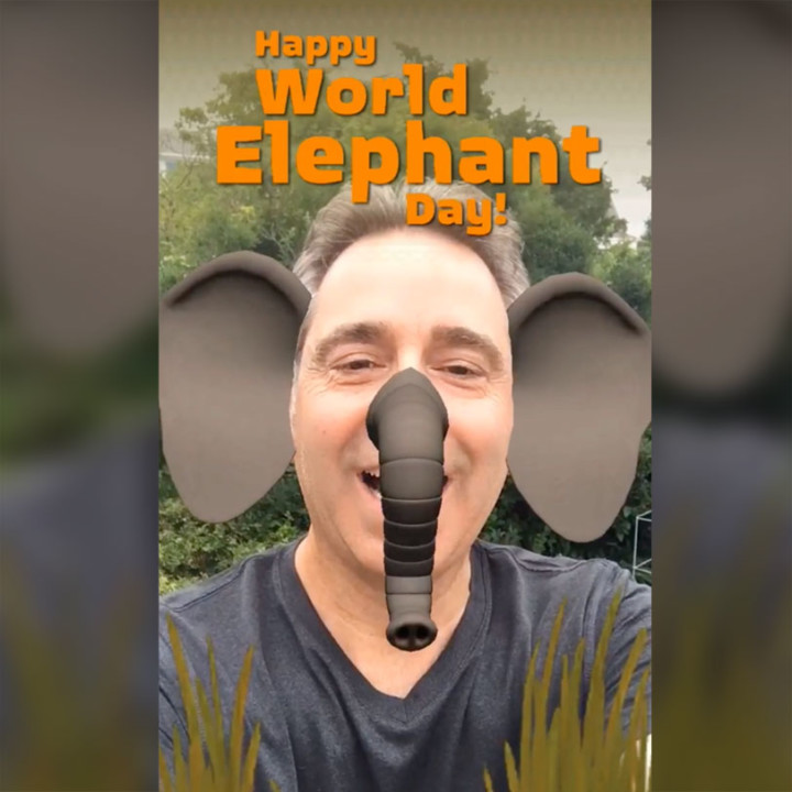 WWF Facebook Snapchat World Elephant Day Augmented Reality