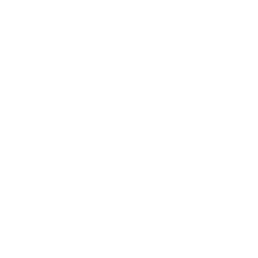 Dream Works