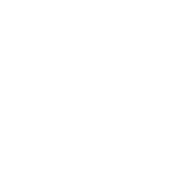 Patriots football Logo